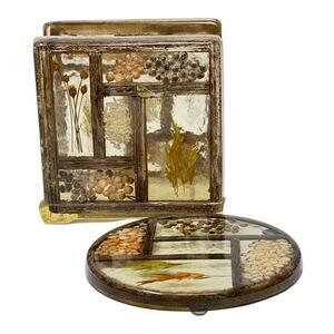 Vintage 1970s Colorflo Lucite Napkin Holder Trivet Set Dried Seeds Grain Flowers